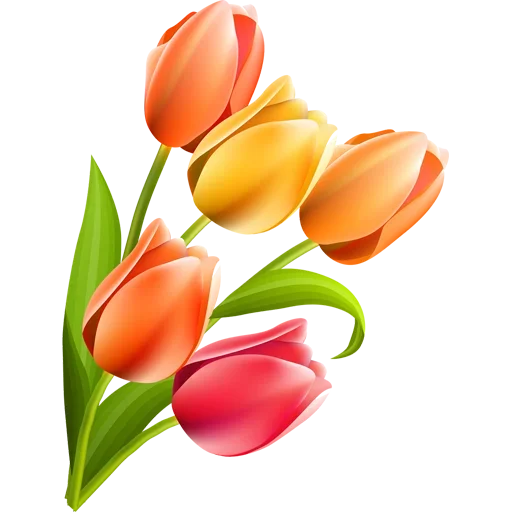 Стикер 🌷 из набора Tulips Club