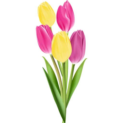 Стикер 🌷 из набора Tulips Club