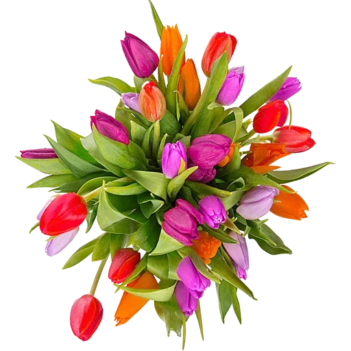 Стикер 🌷 из набора Tulips Club