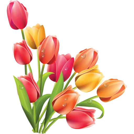 Стикер 🌷 из набора Tulips Club