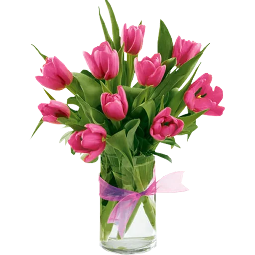 Стикер 🌷 из набора Tulips Club