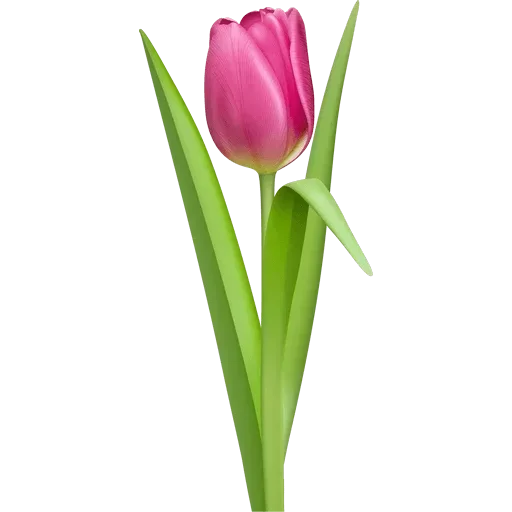 Стикер 🌷 из набора Tulips Club