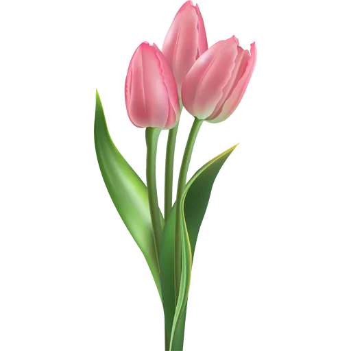 Стикер 🌷 из набора Tulips Club
