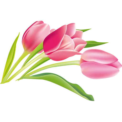 Стикер 🌷 из набора Tulips Club