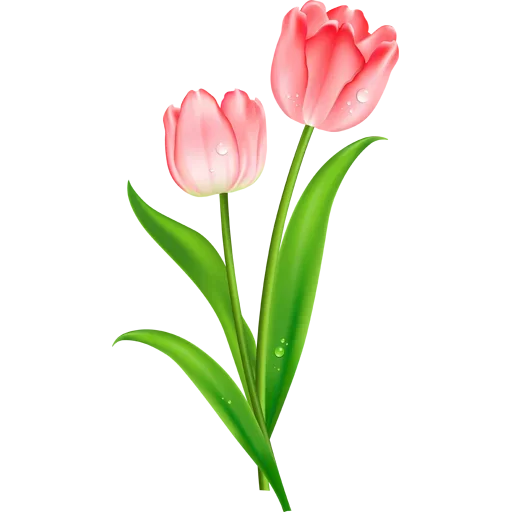 Стикер 🌷 из набора Tulips Club