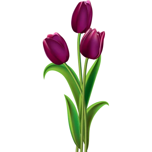 Стикер 🌷 из набора Tulips Club