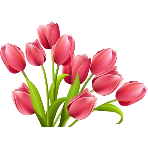 Стикер 🌷 из набора Tulips Club