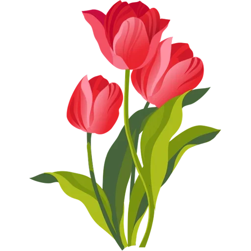 Стикер 🌷 из набора Tulips Club