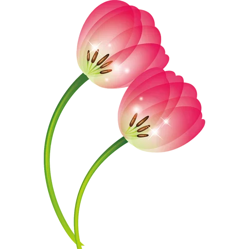 Стикер 🌷 из набора Tulips Club
