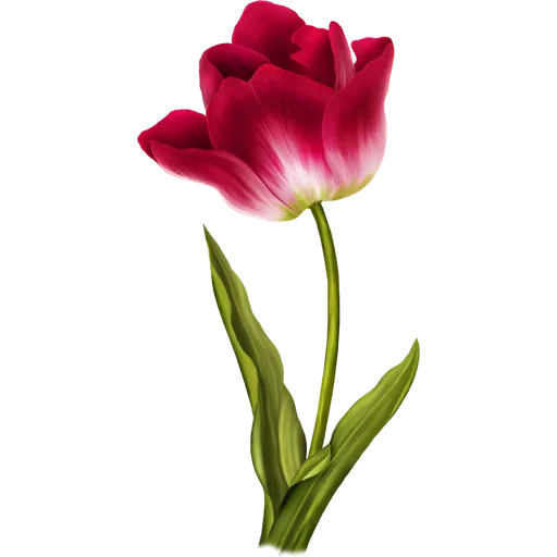 Стикер 🌷 из набора Tulips Club