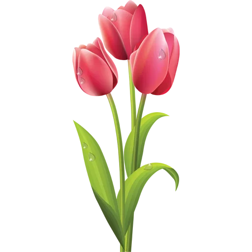 Стикер 🌷 из набора Tulips Club