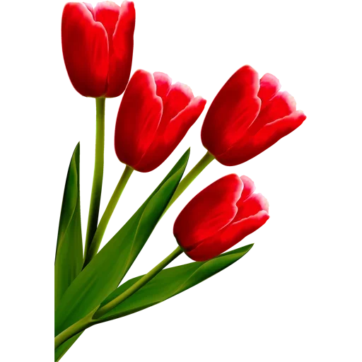 Стикер 🌷 из набора Tulips Club