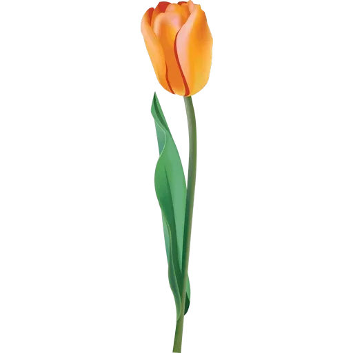 Стикер 🌷 из набора Tulips Club