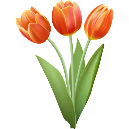 Стикер 🌷 из набора Tulips Club