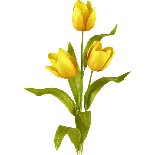 Стикер 🌷 из набора Tulips Club