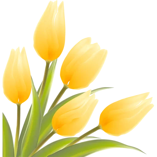 Стикер 🌷 из набора Tulips Club