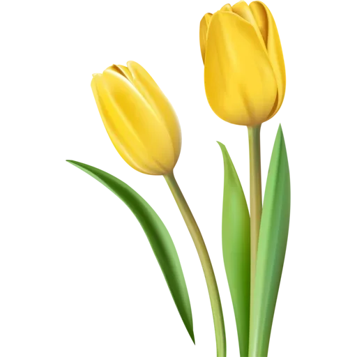 Стикер 🌷 из набора Tulips Club