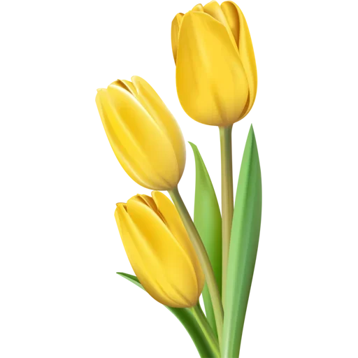Стикер 🌷 из набора Tulips Club