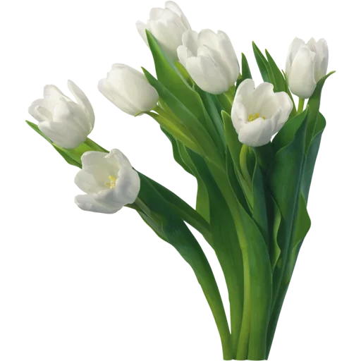 Стикер 🌷 из набора Tulips Club