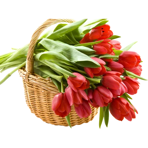 Стикер 🌷 из набора Tulips Club