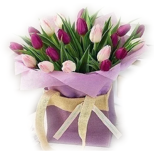 Стикер 🌷 из набора Tulips Club