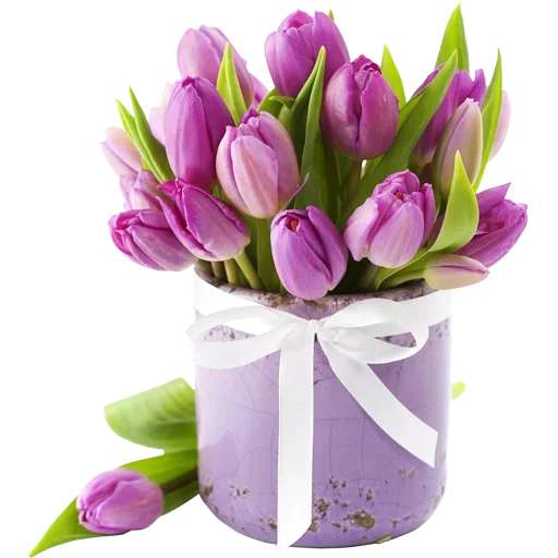 Стикер 🌷 из набора Tulips Club