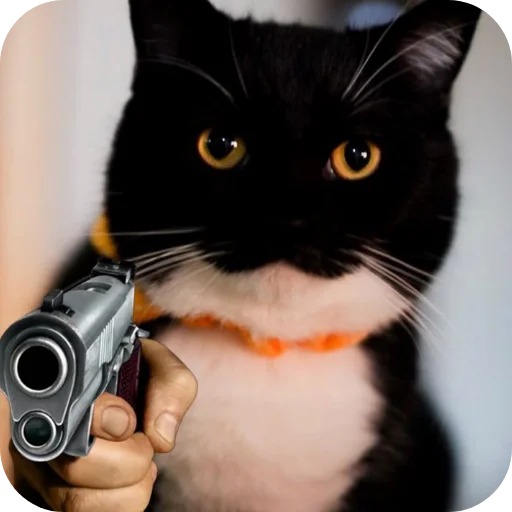 Стикер 🐱 из набора Объединенный стикерпак Unico |