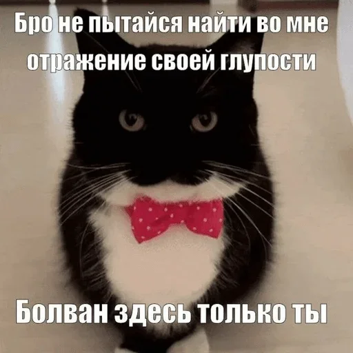 Стикер 🌟 из набора Объединенный стикерпак Unico |
