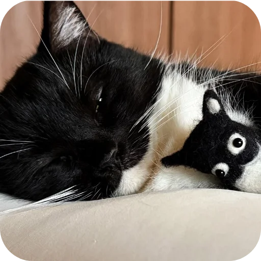 Стикер 🐱 из набора Объединенный стикерпак Unico |