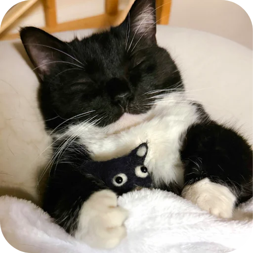 Стикер 🐱 из набора Объединенный стикерпак Unico |