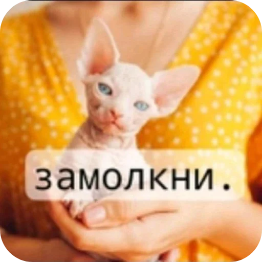 Стикер ❤ из набора 