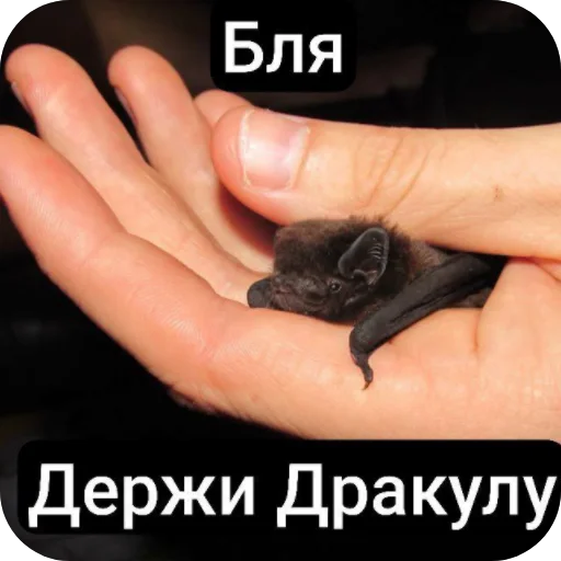 Стикер ❤ из набора 