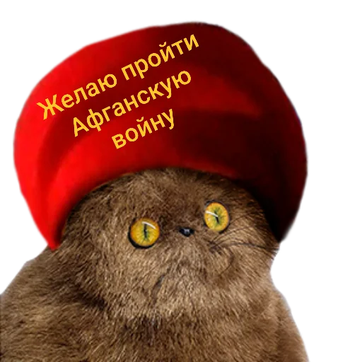 Стикер 😐 из набора wool_lumps_