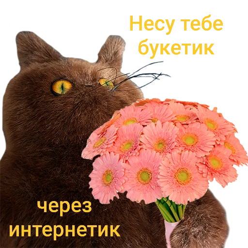 Стикер 💐 из набора wool_lumps_