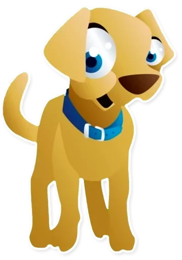Funny Animals