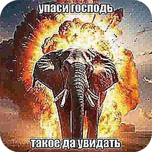 Стикер 🖼 из набора Zdarova 2.0