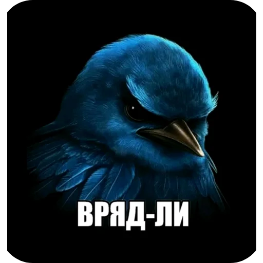 Стикер 👍 из набора Zdarova 2.0