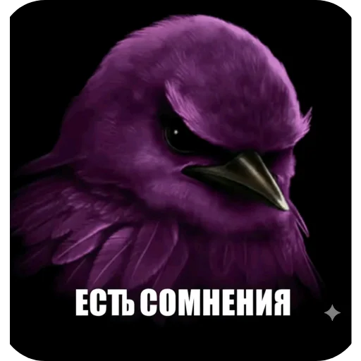 Стикер 🖼 из набора Zdarova 2.0