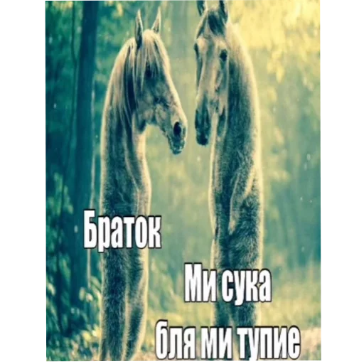 Стикер 🐎 из набора Zdarova 2.0