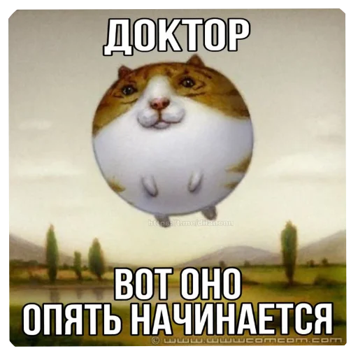 Стикер 🖼 из набора Zdarova 2.0