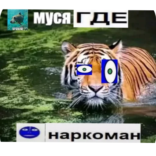 Стикер 🖼 из набора Zdarova 2.0