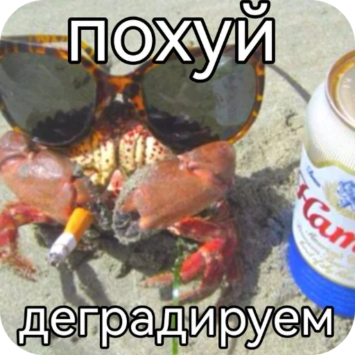 Стикер 🖼 из набора Zdarova 2.0
