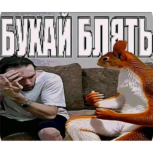 Стикер 🐿 из набора Zdarova 2.0
