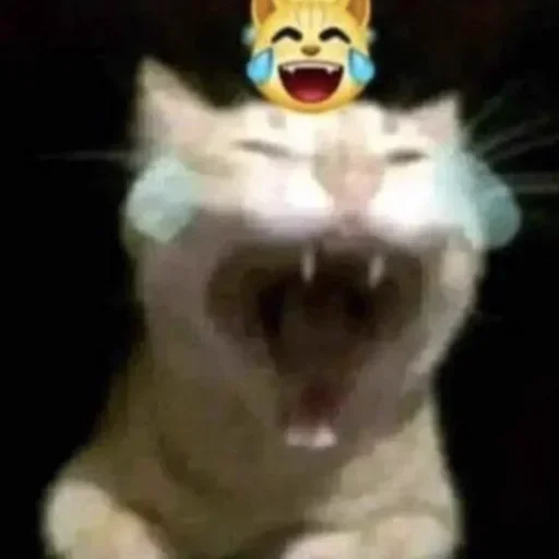 Стикер 😂 из набора 康神开播了 By