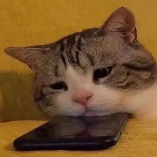 Стикер 😭 из набора 康神开播了 By