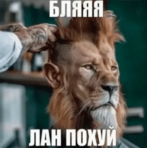 Стикер 🌟 из набора Ч2 ::