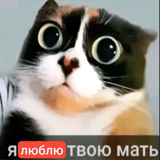 Стикер 🌟 из набора Ч2 ::