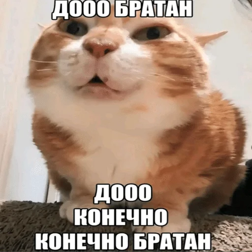 Стикер 🌟 из набора Ч2 ::