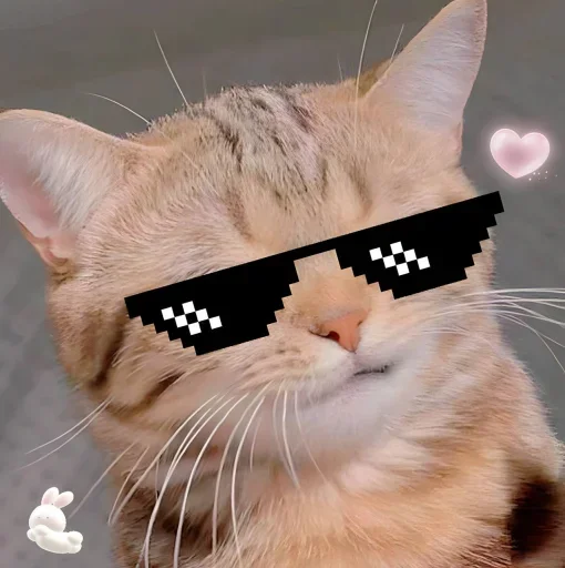 Стикер 🐈 из набора ⋆ 🐈♡゙.