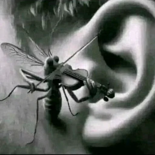 Стикер 🪰 из набора 